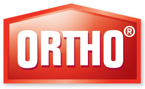 Ortho