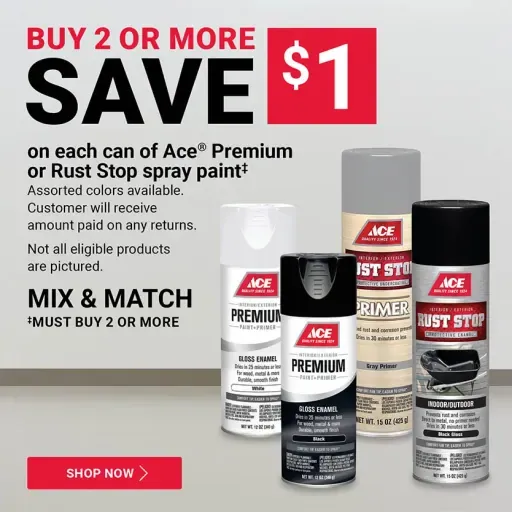 Save $1 on Ace Premium or Rust Stop spray paint when you buy 2 or more